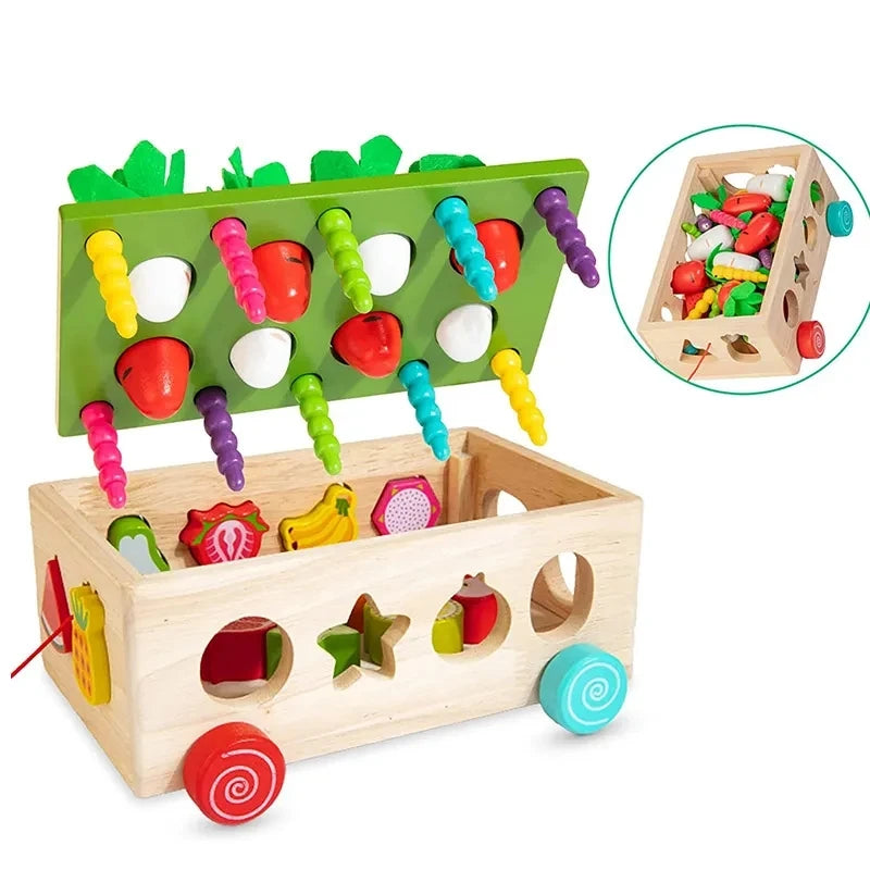 Montessori Toy Food Garden Shape Puzzle