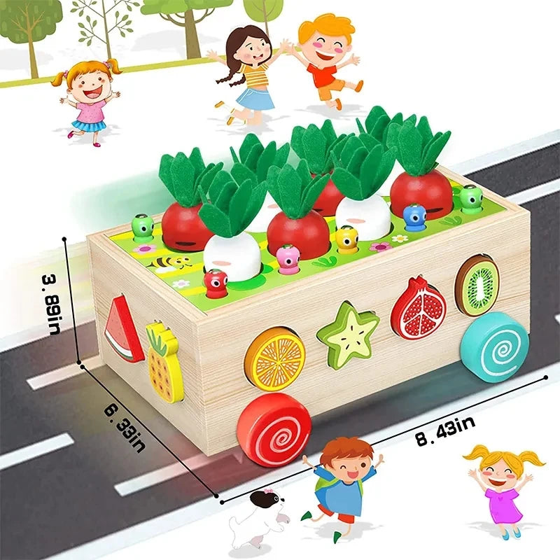 Montessori Toy Food Garden Shape Puzzle