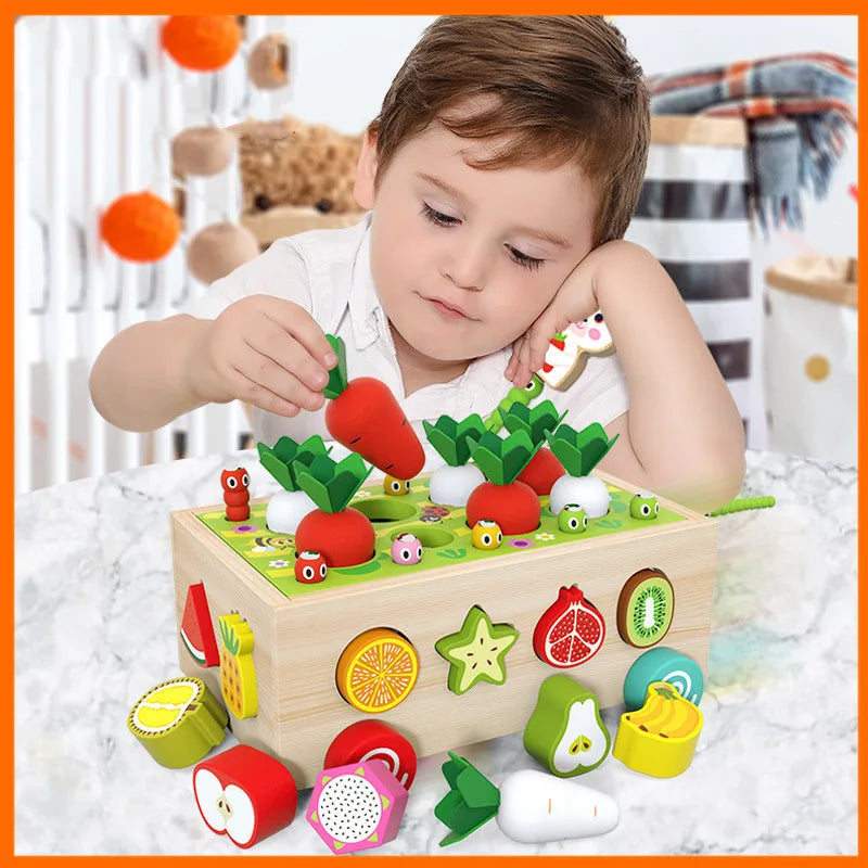 Montessori Toy Food Garden Shape Puzzle